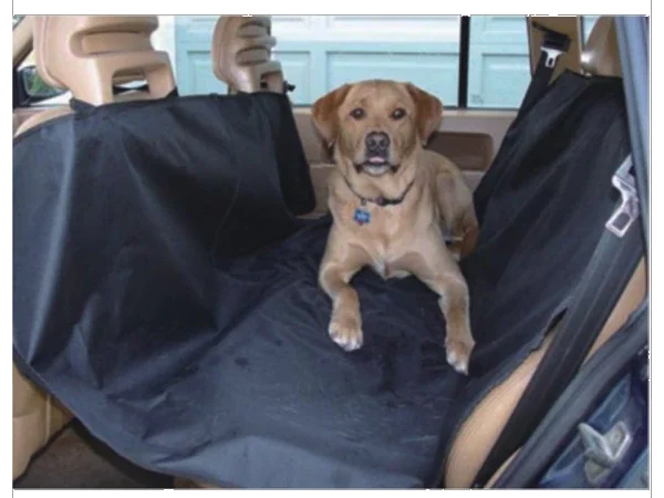 Hundematte Transport Galerie Foto Praxisbeispiel.