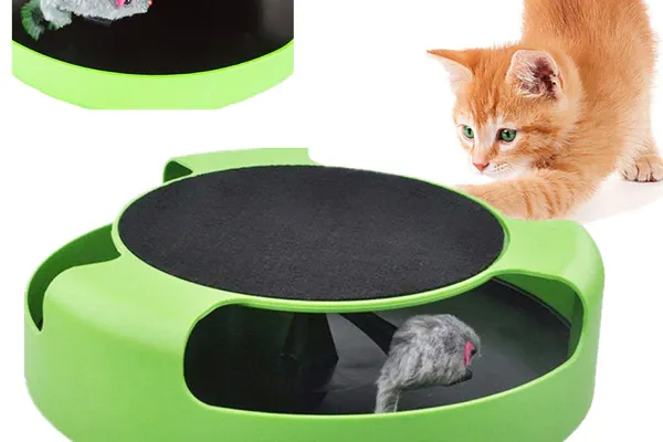 Katzenspielzeug online kaufen.