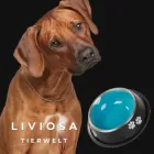 Liviosa Tierwelt